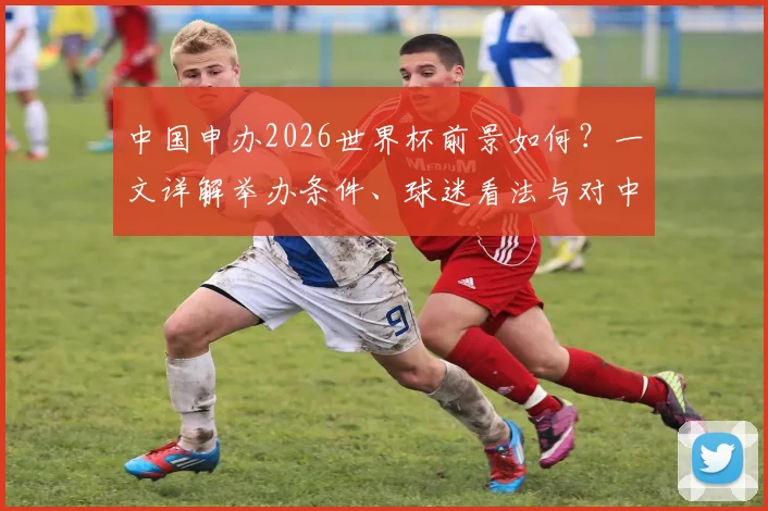 中国申办2026世界杯前景如何？一文详解举办条件、球迷看法与对中国足球的深远影响
